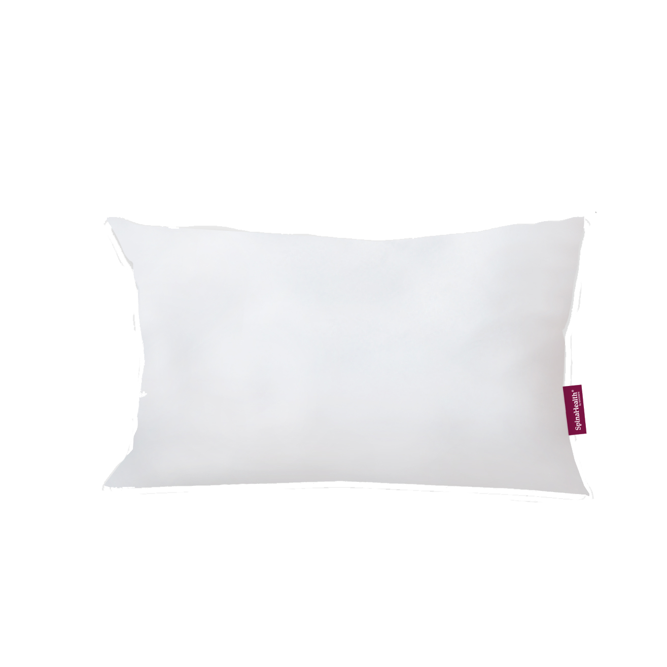 Sundays in bed and Goodnite SpinaHealth Compress Polyester Pillow